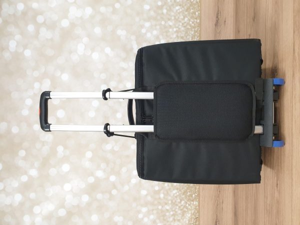 Accordeon Rugtas 120 Bas + Trolley