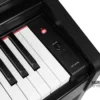 Medeli DP280K BK-5