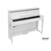 Medeli DP650K WH (1 van 11)