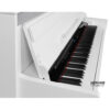 Medeli DP650K WH (3 van 11)
